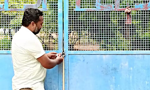 சிவகாசியில் விதிகளை மீறி பட்டாசு தயாரிப்பு:அதிகாரிகள் நடவடிக்கை
