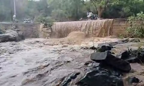 நெல்லை, தென்காசி, டெல்டா மாவட்டங்களில் விடிய விடிய கொட்டித்தீர்த்த கனமழை