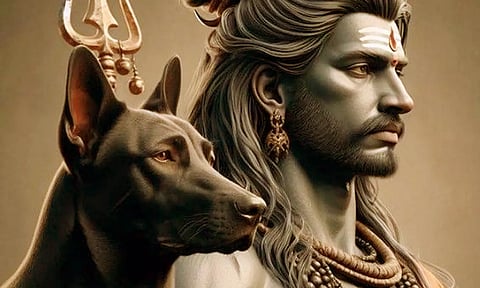 நாயாக வந்து காட்சி அளித்த அக்னீஸ்வரர்