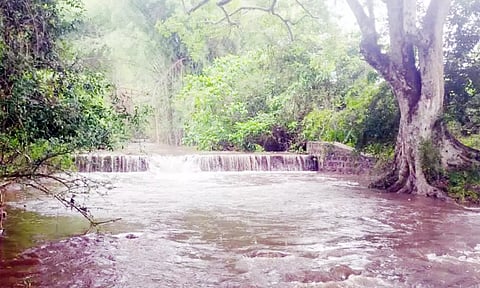 மேற்குத்தொடர்ச்சி மலையடிவார பகுதிகளில் விடிய, விடிய மழை: சுற்றுலாப் பயணிகளுக்கு தடை