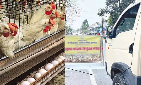 ஆலப்புழா மாவட்டத்தை தொடர்ந்து கோட்டயத்திலும் பறவை காய்ச்சல் பரவியது