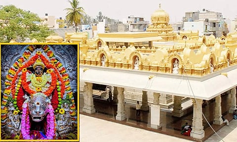 'காதலன் வேண்டாம்; ஐ.ஏ.எஸ். தான் வேண்டும்'- அம்மனுக்கு நூதன கடிதம் மூலம் வேண்டுகோள் விடுத்த இளம்பெண்