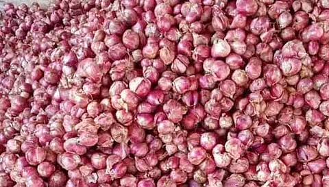 மத்திய அரசின் வரி விதிப்பால் சின்ன வெங்காயம் விலை கடும் வீழ்ச்சி