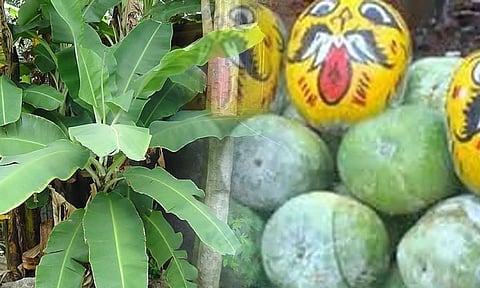 கண் திருஷ்டி போக வேண்டுமா?