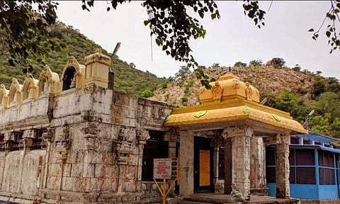 பைரவ வழிபாட்டில் பயன்படுத்தப்படும் காய்கறி பழங்களின் பலன்கள்