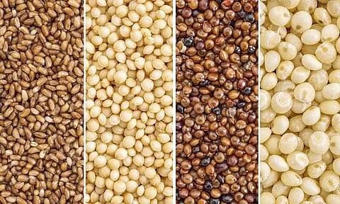 சிறுதானிய வகைகளும்... அதன் நன்மைகளும்...