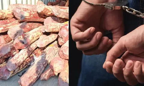 தெலுங்கானாவில் செம்மர மோசடி: அரசு அதிகாரிகள் 8 பேர் கைது