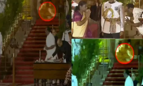 மோடி பதவி ஏற்பு விழாவில் சிறுத்தை வந்தது எப்படி?- வைரல்