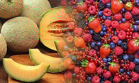 வெயிலுக்கு சாப்பிடக்கூடிய ஆரோக்கியமான உணவுகள்