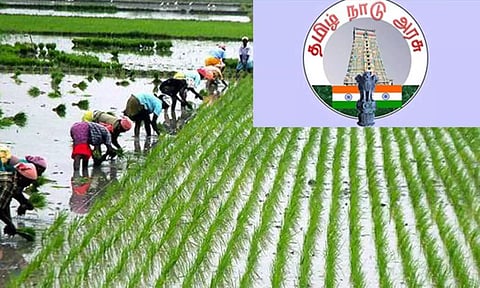 டெல்டா விவசாயிகளுக்கு குறுவை சாகுபடி சிறப்பு தொகுப்பு திட்டம்- தமிழக அரசு அறிவிப்பு