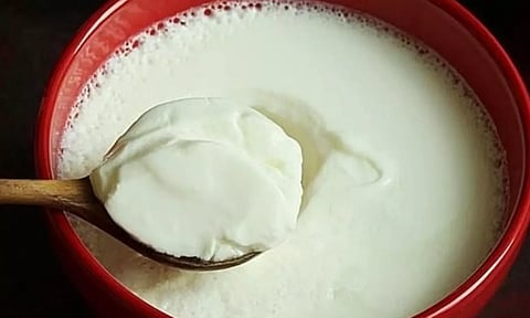 காலை-மதியம்-இரவு தயிர் சாப்பிட்டால் என்ன ஆகும்....?