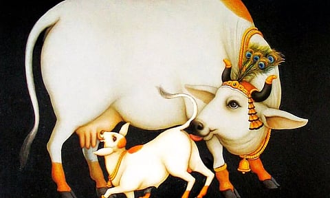 கோதானம் செய்யும் போது முக்கியமாக கவனிக்க வேண்டியவை: