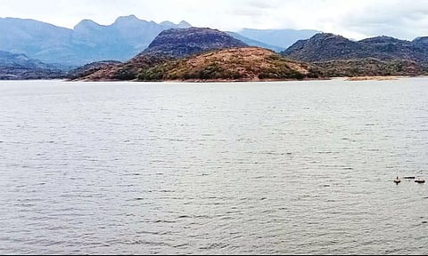 வனப்பகுதியில் கனமழை: உடுமலை அமராவதி அணையின் நீர்மட்டம் 6 அடி உயர்வு