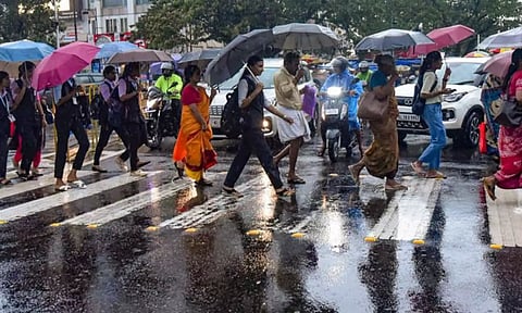 கனமழை நீடிப்பு: கேரளாவில் மழைக்கு 115 வீடுகள் சேதம்