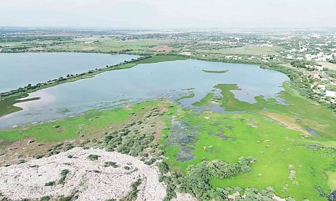 காஞ்சிபுரத்தில் குப்பைகழிவுகளை கொட்டுவதால் மாசடையும் ஏரிகள்