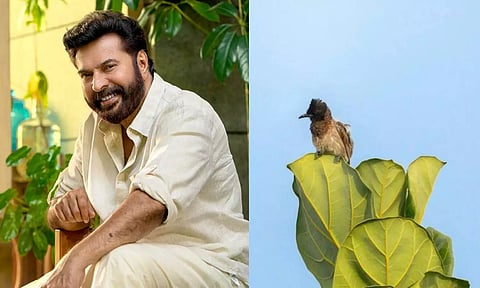 லட்சங்களில் ஏலம் போன மம்முட்டி எடுத்த புகைப்படம்