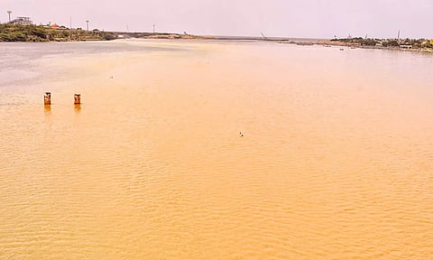 கழிவுநீர் கலப்பதாக குற்றச்சாட்டு: எண்ணூர் முகத்துவாரம் தண்ணீர் மஞ்சள் நிறமாக மாறியது