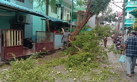 புதுச்சேரியில் இடி-மின்னலுடன் மழை: மரங்கள் வேரோடு சாய்ந்தது