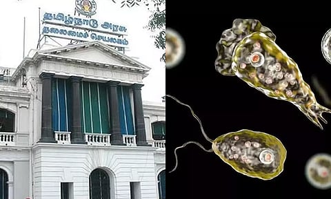 மூளையை தின்னும் அமீபா- தமிழக பொது சுகாதாரத்துறை எச்சரிக்கை