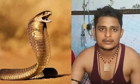 ஒரே மாதத்தில் 6 முறை இளைஞரைக் கடித்த பாம்புகள்.. சனி ஞாயிறில் மட்டுமே தேடி வந்து கடிக்கும் வினோதம்!