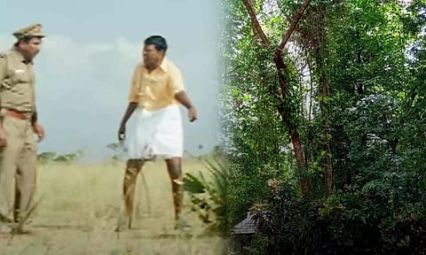 60 லட்சம் மரங்களை காணோம் - வழக்கு பதிந்த தேசிய பசுமை தீர்ப்பாயம்