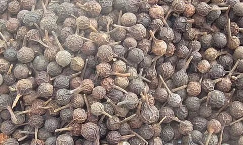 வால் மிளகு அதிகம் சேர்த்தால் இவ்வளவு பிரச்சனையா?