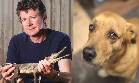 நாய்களை பாலியல் வன்புணர்வு செய்து கொன்ற கொடூரன்.. 249 வருட சிறை தண்டனை விதிப்பு.. பகீர் பின்னணி