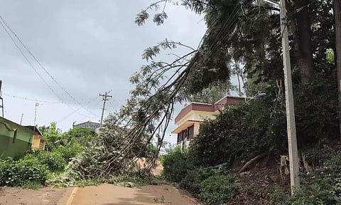 குன்னூரில் சூறாவளியுடன் பலத்த மழை: மின்கம்பியில் மரம் விழுந்து போக்குவரத்து பாதிப்பு
