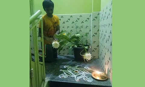 ஆண்டுக்கு ஒரு முறை மட்டுமே இரவில் பூக்கும் அபூர்வ மலர்