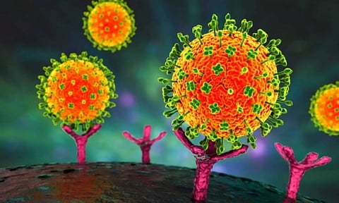 நிபா வைரஸ் அறிகுறிகள்- தடுப்பு முறைகள்