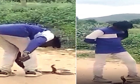 குடிபோதையில் நல்ல பாம்பை கொஞ்சிய வாலிபர்: ஆஸ்பத்திரியில் தீவிர சிகிச்சை