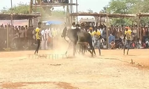 வடமாடு மஞ்சுவிரட்டு- மாடு முட்டி ஒருவர் பலி