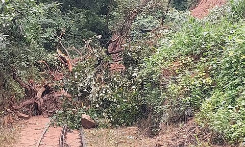 மலை ரெயில் தண்டவாளத்தில் மரங்கள், மண்சரிந்து கிடப்பதை காணலாம்.