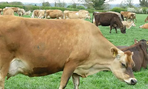 கெட்டதையும் நல்லதாக்கலாம்!