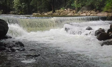 களக்காடு தலையணை செல்ல சுற்றுலா பயணிகளுக்கு தடை