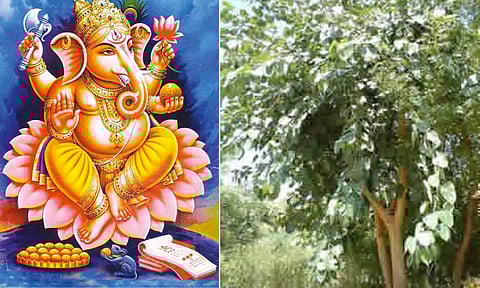 வாழ்க்கையை வளமாக்கும் கனியை கையில் ஏந்திய விநாயகர்