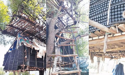 மரங்களில் வீடு கட்டி வசிக்கும் பூர்வகுடி விவசாயிகள்