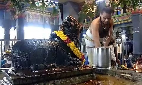 பிரதோஷ காலத்தில் இவற்றை எல்லாம் செய்யக்கூடாது