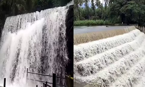 மேற்கு தொடர்ச்சி மலைப்பகுதியில் கனமழை: அருவிகளில் வெள்ளப்பெருக்கு