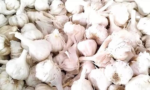 கோத்தகிரியில் பூண்டு கொள்முதல் விலை உயர்வு