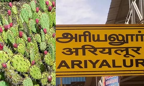 ariyalur kallipal