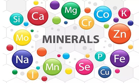 உடல் ஆரோக்கியத்தில் தாதுஉப்புக்கள்