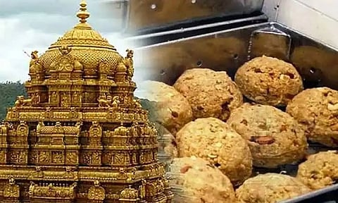 விலங்குகள் கொழுப்பு கலந்த நெய்: திருப்பதியில் 3 நாட்கள் சிறப்பு யாகம், பரிகார பூஜை