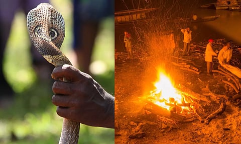 பாம்புக் கடியால் உயிரிழந்த இளைஞன்.. சடலத்துடன் கடித்த பாம்பை உயிரோடு எரித்த கிராம மக்கள்