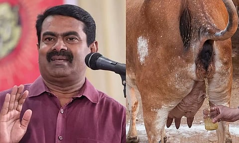 மாட்டுக்கறி சாப்பிடுபவன் கீழ்சாதி, மாட்டு மூத்திரம் குடிக்கிறவன் மேல்சாதியா? - சீமான்
