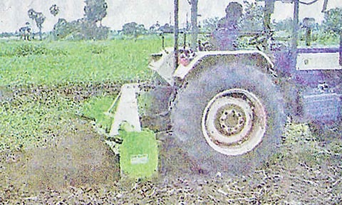 2,500 ஏக்கரில் பயிரிடப்பட்டுள்ள மக்காச் சோளப் பயிர்கள் டிராக்டர் ஓட்டி அழிக்கும் விவசாயிகள்