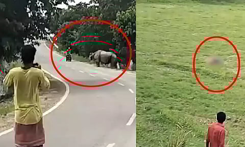 Rhino Near Assam's Pobitora Wildlife Sanctuary