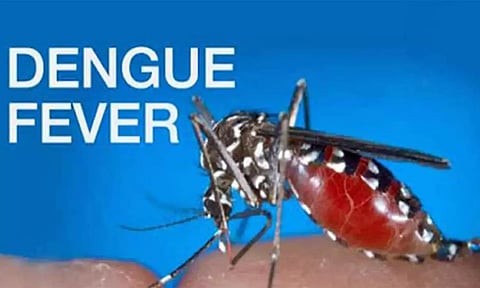 பெரியகுளம் அருகே டெங்கு காய்ச்சலுக்கு 5ம் வகுப்பு மாணவன் பலி