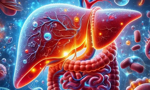 கல்லீரல் கொழுப்பு பிரச்சனை: உடல் நலனுக்கான யோசனைகள்!