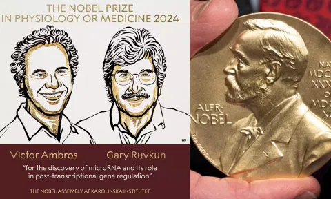 Nobel Prize in Medicine 2024